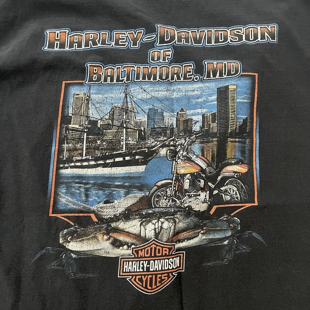 Vintage Harley Davidson Skull Tee Flames Y2K Baltimore Crab Back Graphic XL